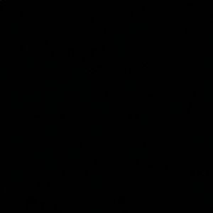 Meet your Posher, Lele